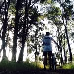 Dean Wardely_bmx - @deanwardley93 - Instagram