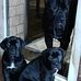 Dean Wardle - Facebook