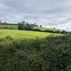 Dean Washington - @dean.washington5 - TikTok