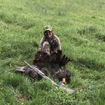 Dean Wheeler - @deanwheeler07 - Instagram