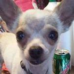 Dean Whitaker - @dmaverick78 - Instagram