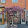 Dean Whittaker - @dean.whittaker4 - TikTok