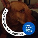 Dean Wiener - @wiener.dean - Instagram