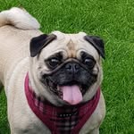 Dean Wray - @deano.wray - Instagram