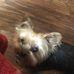 Deana Baxter - Facebook