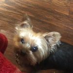 Deana Baxter - @deanabaxter - Instagram