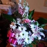 Deana Brown - @deana.brown.58760 - Instagram