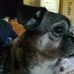 DeAnna Gibson - Facebook
