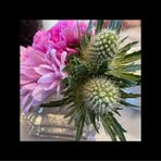 Deana Miles LaRoche - Facebook