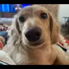 Deana - @deana.morris91 - TikTok