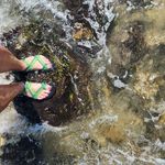 Deana Perry - @deana.perry.98 - Instagram
