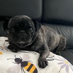 Deana Shaw - @deanawooya - Instagram