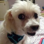Deana Snyder - @deana7870 - Instagram