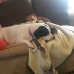 Deanna Stephens - @deanna.stephens.7583 - Instagram