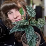 Deana Walsh - @_._._gizmo_._._ - Instagram