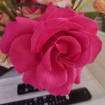 Deana Watson - @deana.watson.3 - Instagram