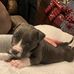 Deana Webster Goettel - Facebook