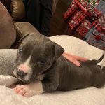 Deana Webster Goettel - @deanagoettel - Instagram