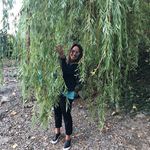 Deanna Webster - @deannawebster73 - Instagram