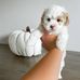 Deanice Dely - Facebook