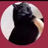 deangelosparks48 - @deangelosparks48 - TikTok