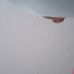 De'Angelo Tate - Facebook