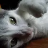 deannbradley - @deannbradley - TikTok