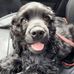 Deann Cameron - Facebook