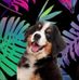 Deann Foster - Facebook