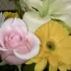 Deann Harris - @deann.harris - TikTok