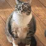 DeAnn Jones - @deannjones61 - Instagram