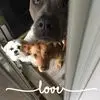 DeAnn Jones - @deann.jones - TikTok