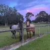 DeeAnn Kennedy - @deeannkennedy - TikTok