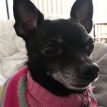 De Anna Alec Kline - @deanna.kline - Instagram