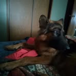 Deann Parker - Facebook