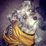 Deann Stephens - @stephensmds - Instagram