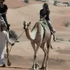 DeAnn Thomas - @arabicstudentattheu - TikTok