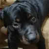 deannthompsonstraley - @deannthompsonstraley - TikTok