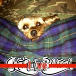 DeAnn Devers Turner - @deversturner - Instagram