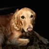 DeAnn Watson - @deann.watson5 - TikTok