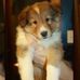 Deana Abbott - Facebook