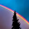 Deanne back - @deanne.back - TikTok