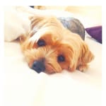 Deanna Backus - @deanna.backus.71 - Instagram