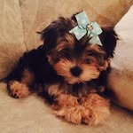 Deanna Brown Backus - @deannabackus - Instagram