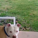 Deanna Bacon Robinson - @deanna.b1966 - Instagram