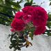 Diana Berry - Facebook