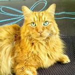 Deanna Becker - @deannabecker73 - Instagram