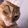 Deanna - @deannabeee - TikTok