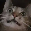 deannabee587 - @deannabee587 - TikTok