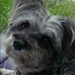 Deanna Bender - @bender_dinky - Instagram